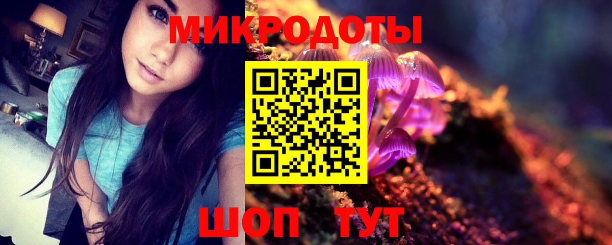 Галлюциногенные грибы Cubensis Касимов